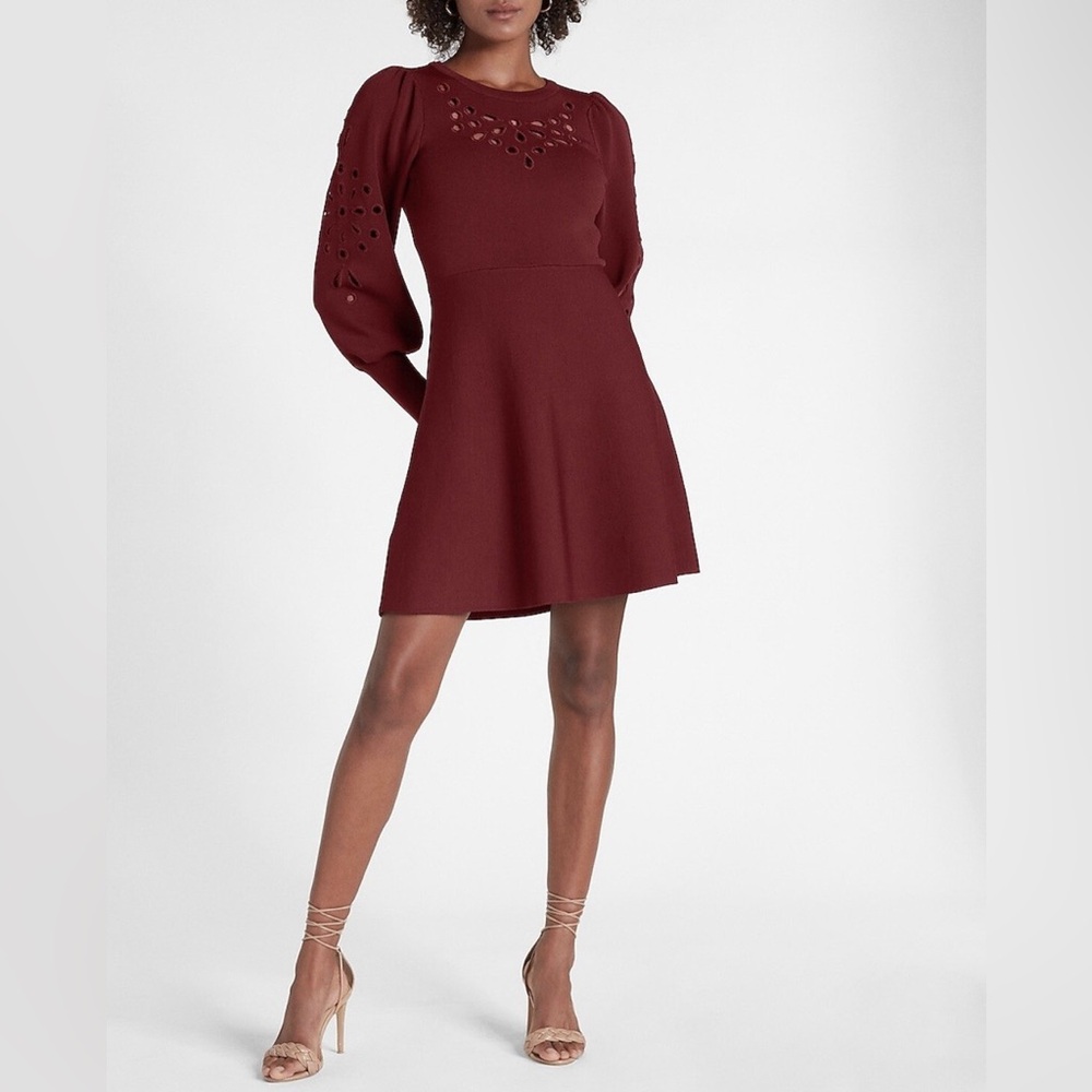 Express Maroon Fit and Flare Eyelet Sweater Dress